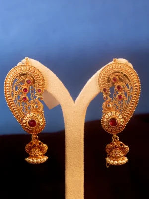 Earrings 1