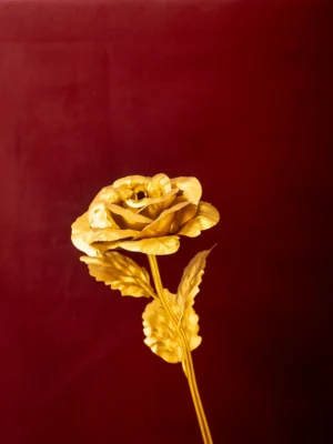 Rose 1 - Gold Dipped Rose